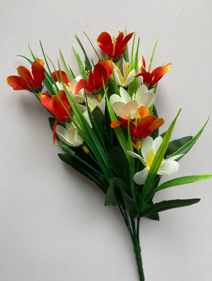 Orange & White Agapanthus Bush