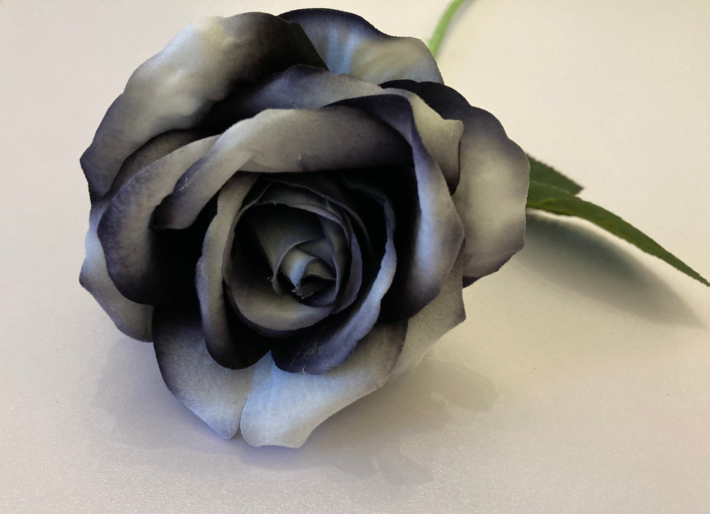 Black & Grey Velvet Rose