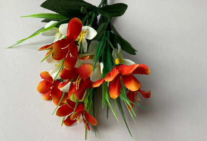 Orange & White Agapanthus Bush