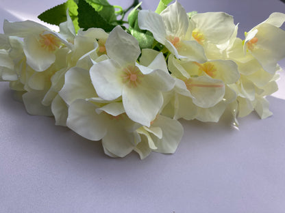 Ivory Hydrangea bunch