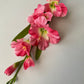 Pink Gladiolus Spray