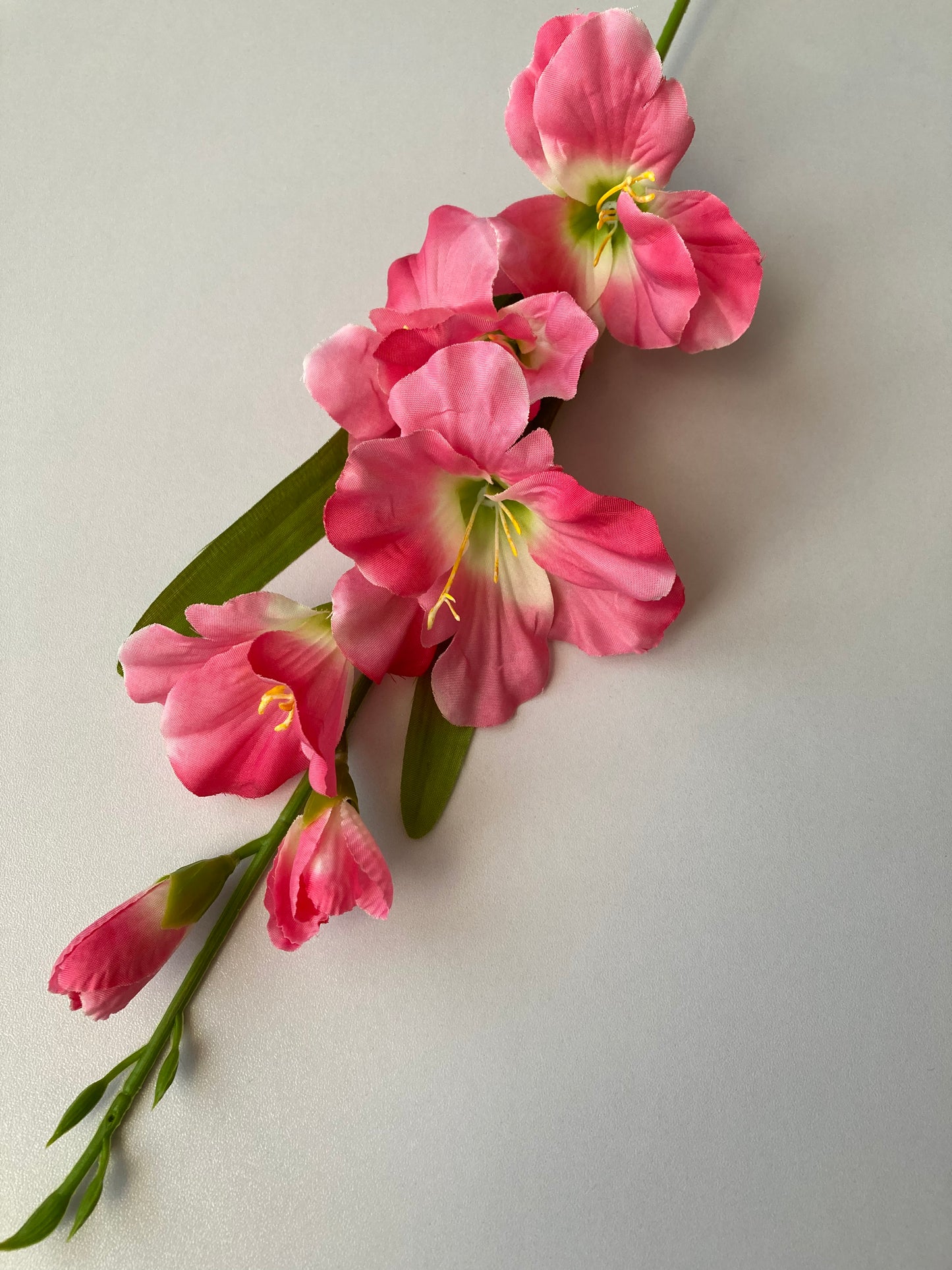 Pink Gladiolus Spray