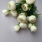 Mini Ivory Ranunculus Bunch