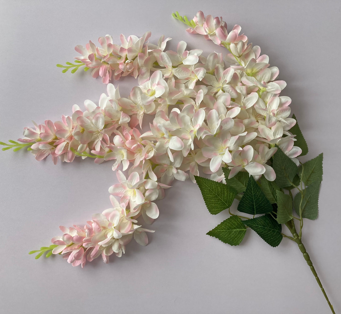 Pink Wisteria Trailing Flower