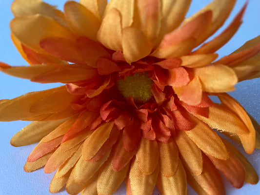 Orange Spike Gerbera Stem