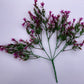 Mauve Small Flower Foliage