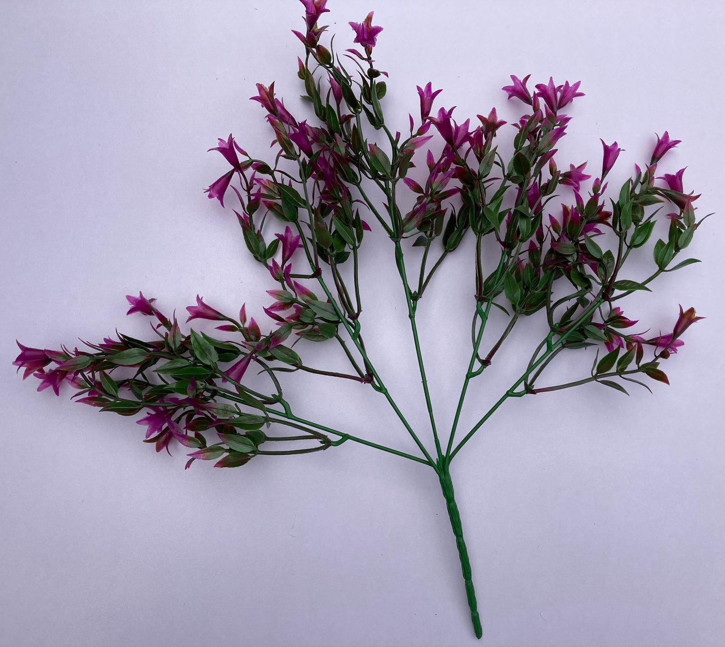 Mauve Small Flower Foliage