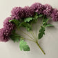 Purple Chrysanthemums Bunch