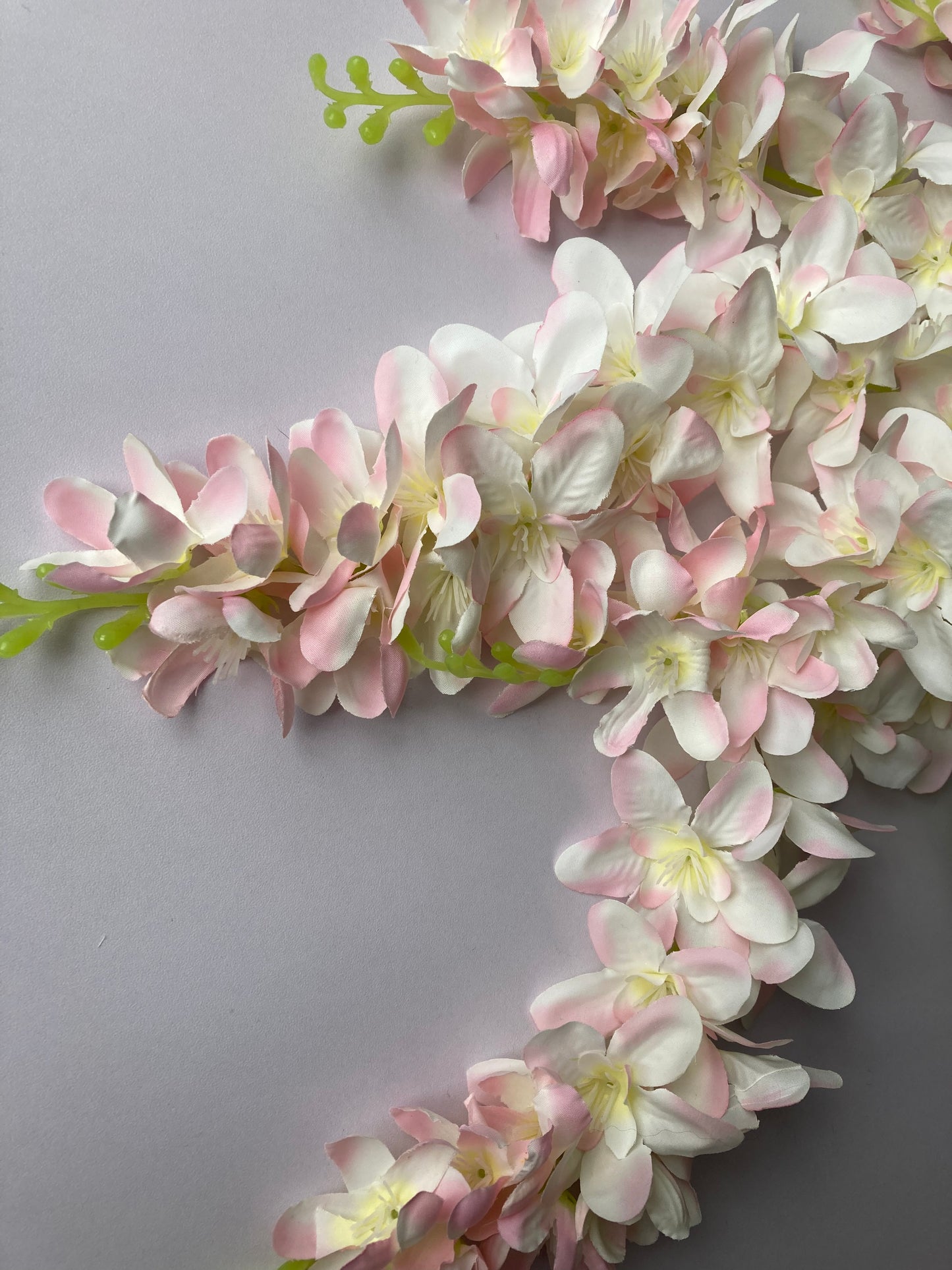 Pink Wisteria Trailing Flower