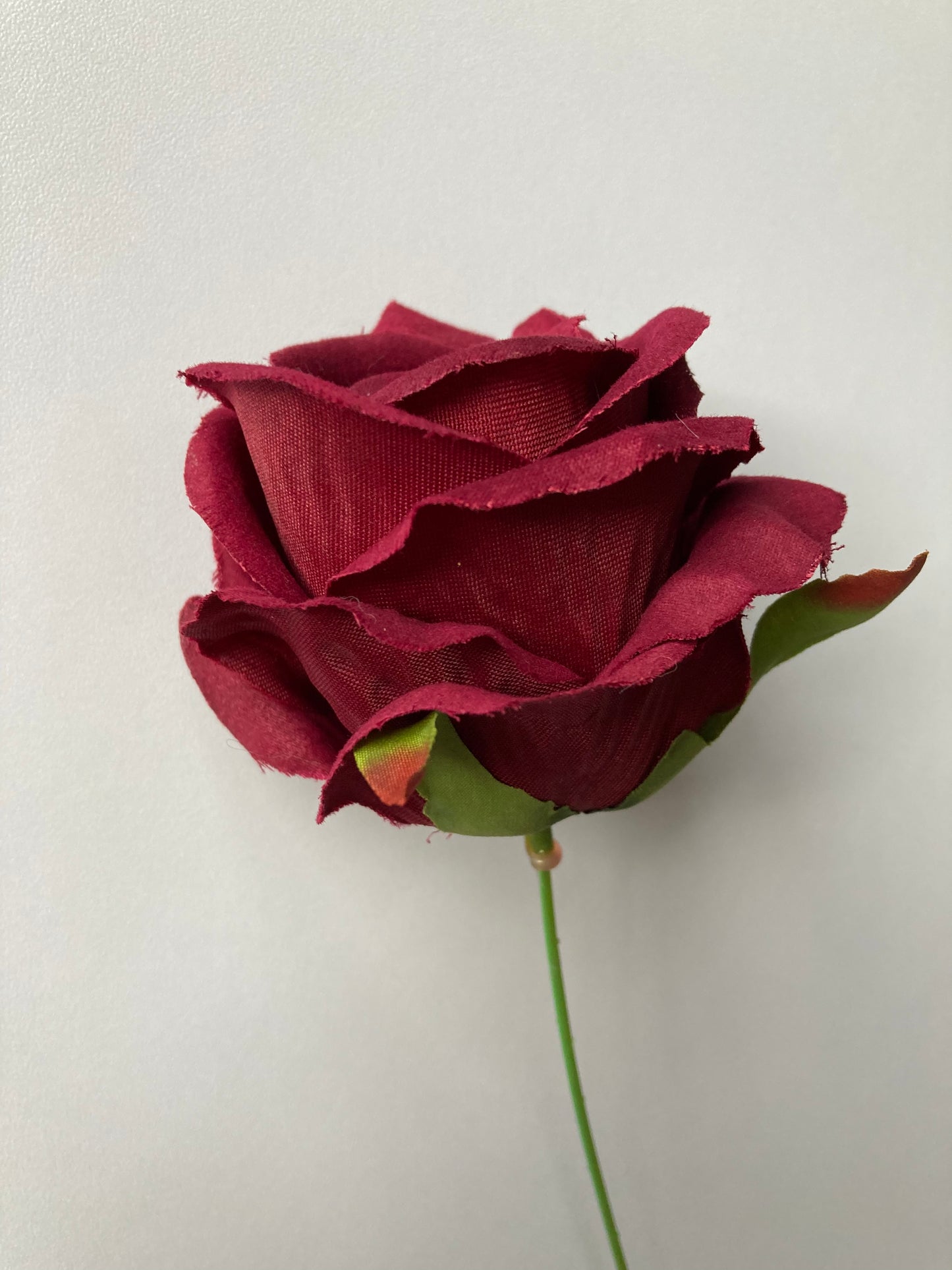 Burgundy Rose Stem