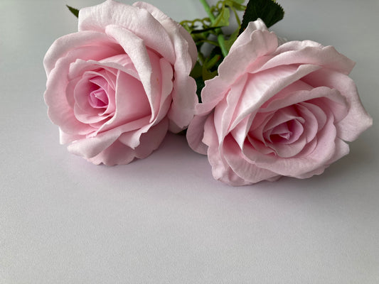 Soft Pink Velvet Touch Rose