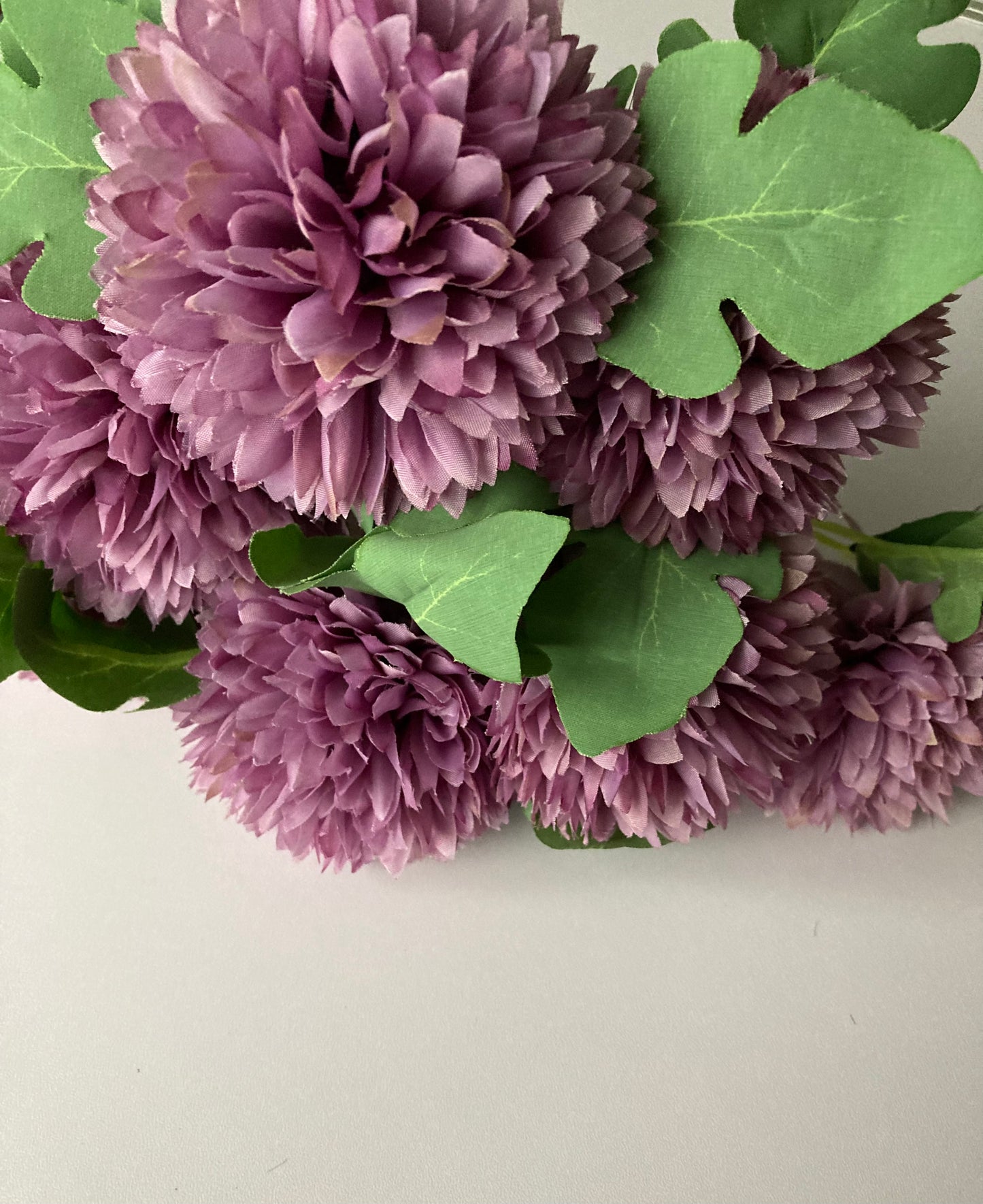 Purple Chrysanthemums Bunch