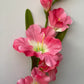 Pink Gladiolus Spray