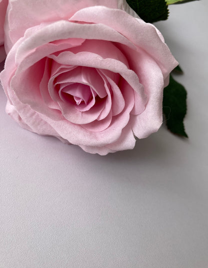 Soft Pink Velvet Touch Rose