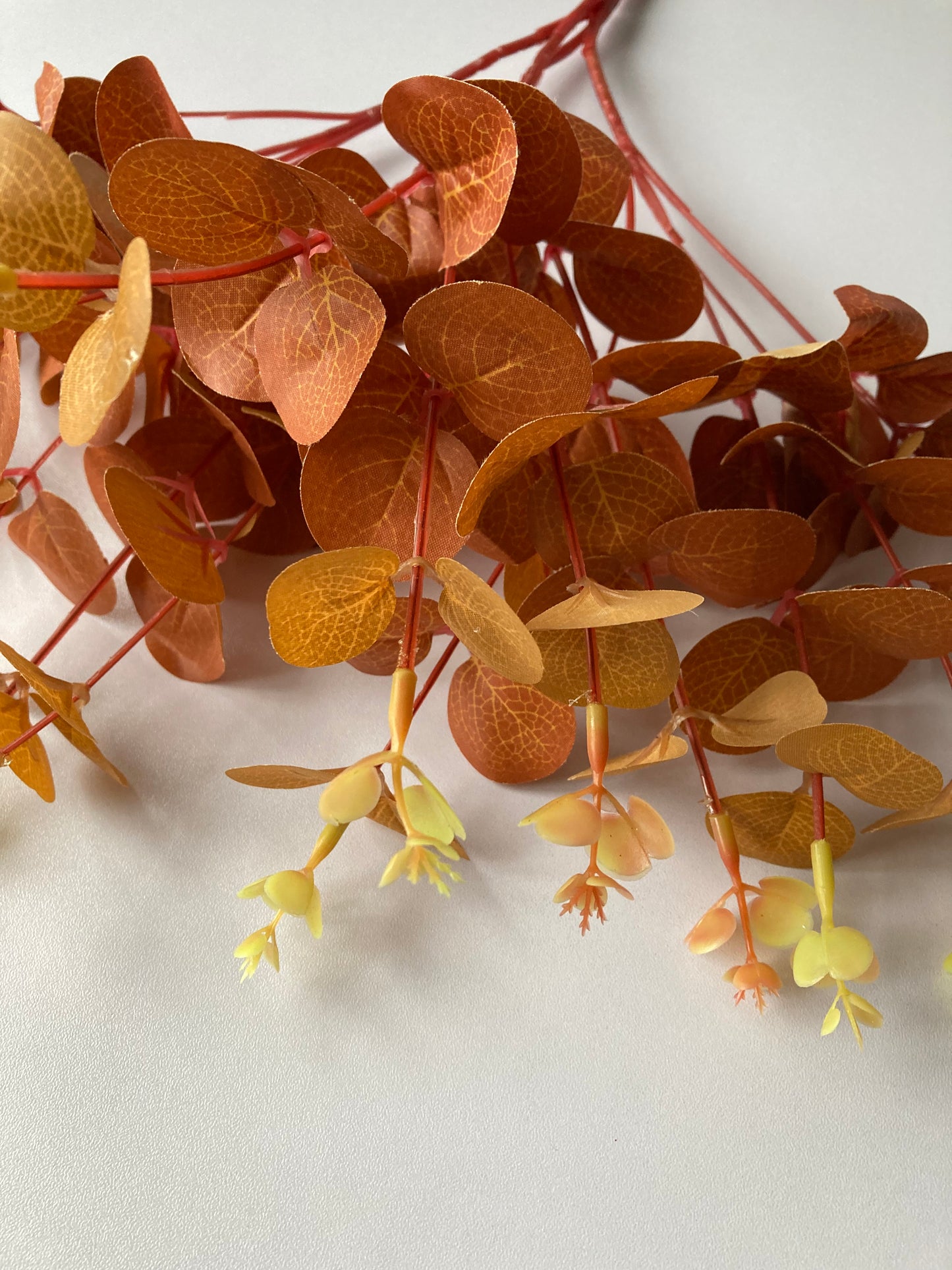 Burnt Orange Eucalyptus Bunch