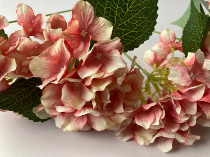 Large Hydrangea Pink Bunch