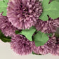 Purple Chrysanthemums Bunch