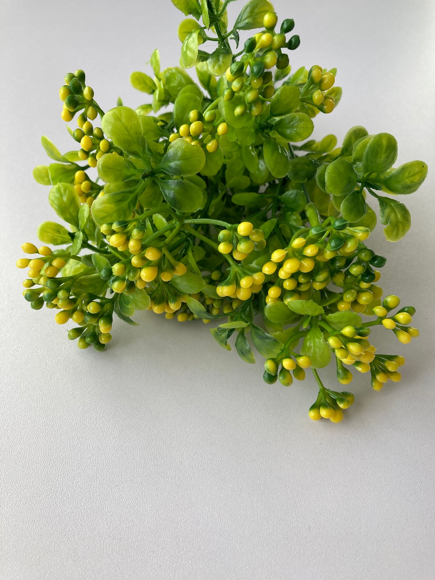 Yellow Berry & Foliage