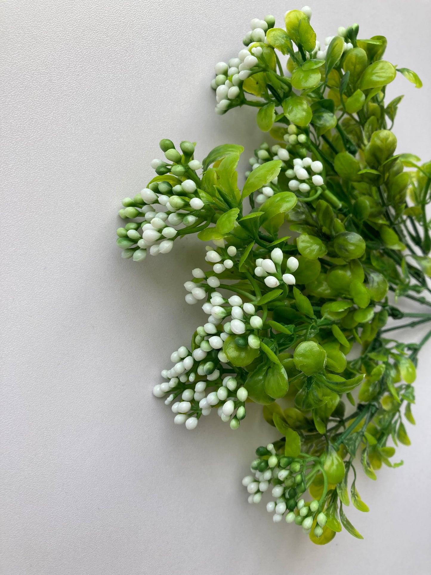 White Berry & foliage