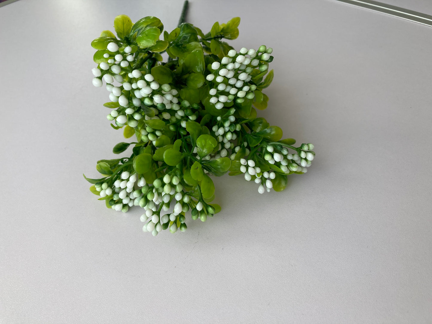 White Berry & foliage